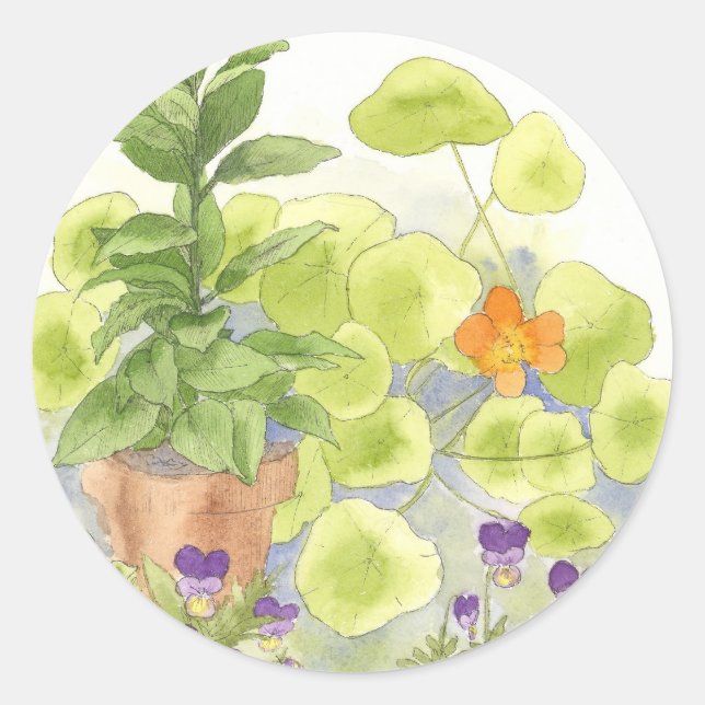 Sticker Rond Herbe d'aquarelle de la fleur de Nasturtium Bay Tr (Devant)