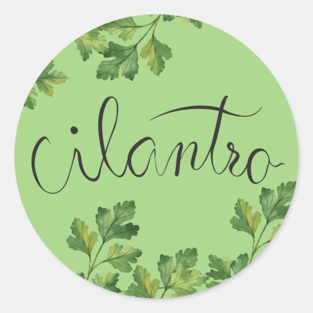 Sticker Rond Herbes de Cilantro (Devant)