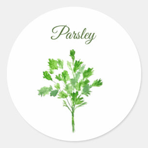Sticker Rond Herbes de persil Aquarelle Cuisine culinaire vert