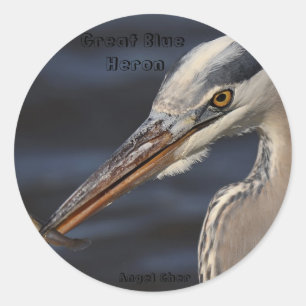 Sticker Rond Heron Et Minnow Par Angel Cher, Grand Héros Bleu..