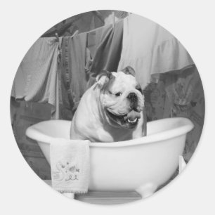 Sticker Rond Heure de bain grand collègue