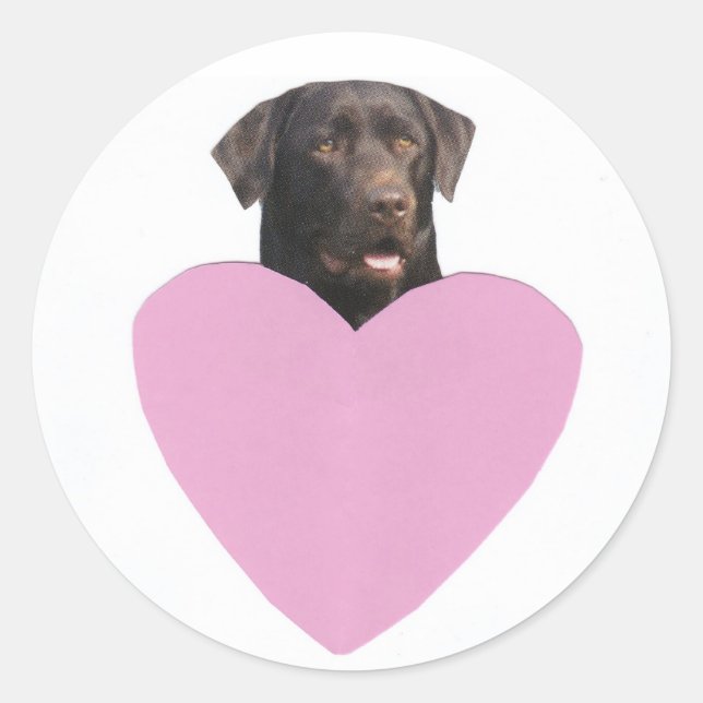 Sticker Rond Heureuse Sainte-Valentin Labrador Retriever (Devant)