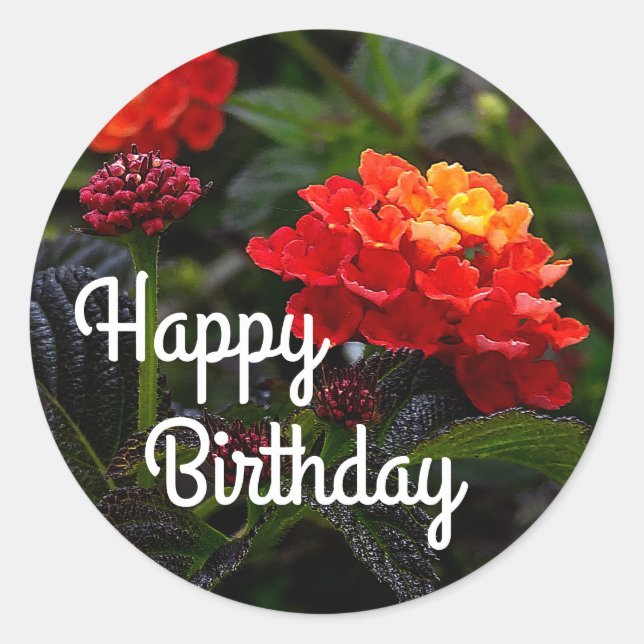 Sticker Rond Heureux Anniversaire Orange Red Trailing Lantana # (Devant)