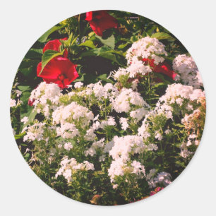 Sticker Rond Hibiscus Et Fleurs De Phlox