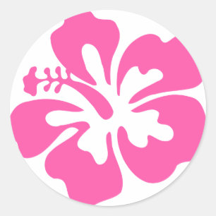 Sticker Rond Hibiscus rose