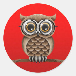 Sticker Rond Hibou Brown pelucheux mignon avec des verres de