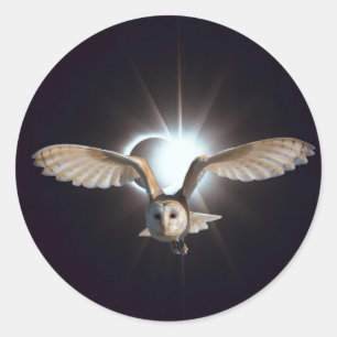 Sticker Rond Hibou dans Outerspace