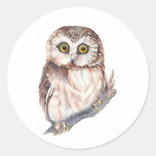 Sticker Rond Hibou mignon - collection d'oiseau d'aquarelle