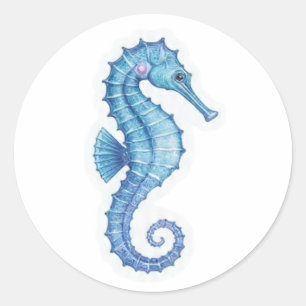 Sticker Rond Hippocampe Tropical Élegant - Beauté de la Nature 