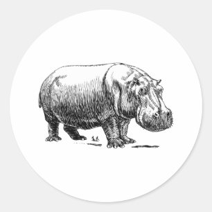 Sticker Rond Hippopotame