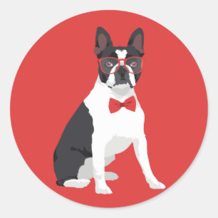 Sticker Rond Hipster Boston Terrier avec lunettes rouges et Cra