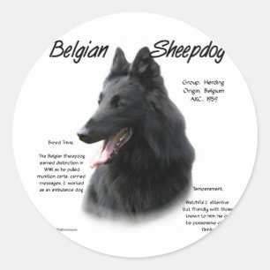 Sticker Rond Histoire Belge Du Chien À Cheval; Tout Sur Le Chie