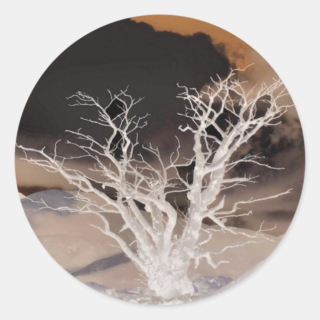 STICKER ROND HIVER DE LA MONTAGNE (Devant)