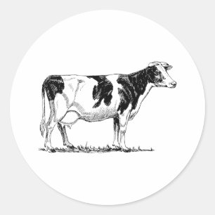 Sticker Rond Holstein Cow