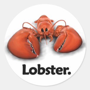 Sticker Rond Homard.