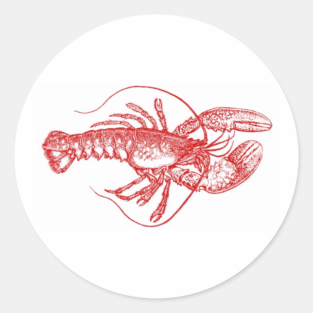 Sticker Rond Homard (Devant)