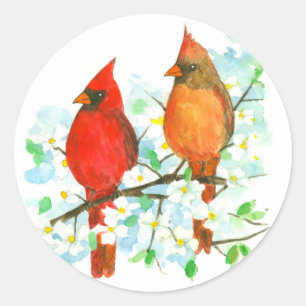 Sticker Rond Homme Femme Cardinal Oiseaux Dogwood Tree