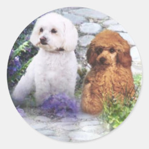 Sticker Rond Hortensias d'autocollant de caniche