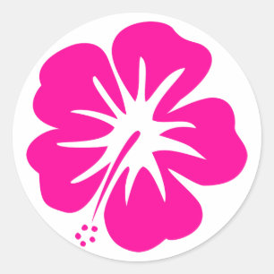 Sticker Rond Hot Pink Hibiscus