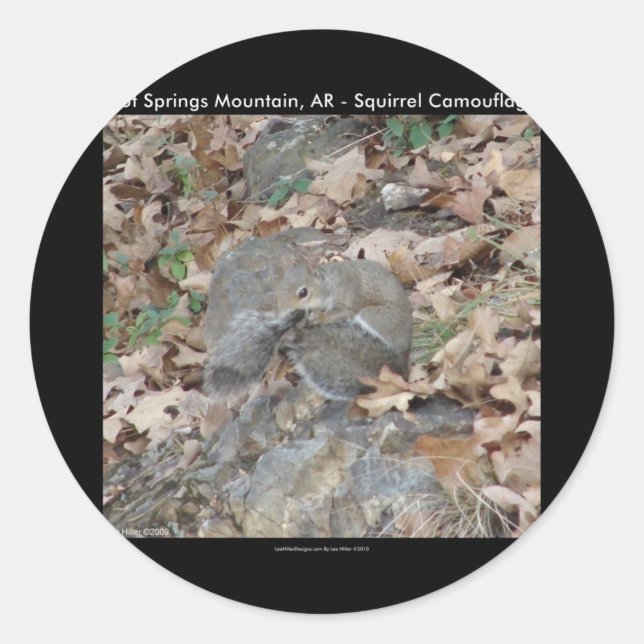 Sticker Rond Hot Springs Mountain, AR Squirrel Cadeaux Camoufla (Devant)
