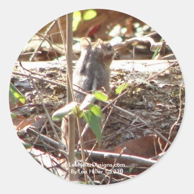 Sticker Rond Hot Springs Mountain, Arkansas Chipmunk Cadfts (Devant)