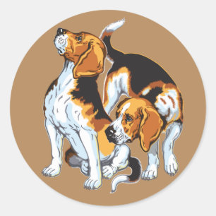 Sticker Rond Hound beagle