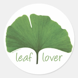 Sticker Rond Hugger d'arbre à feuilles