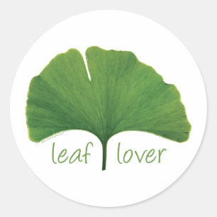 Sticker Rond Hugger d'arbres, Louveur de feuilles - Ginkgo