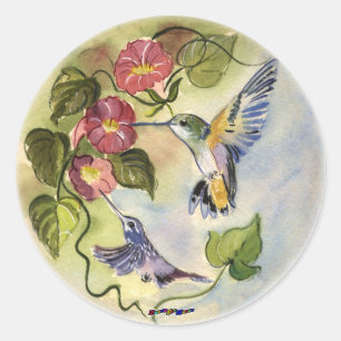 Sticker Rond Humming Birds