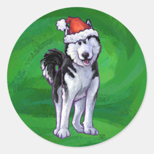 Sticker Rond Husky festif à Santa Hat sur Vert