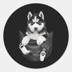 Sticker Rond Husky Sibérien Dans Pocket Puppy
