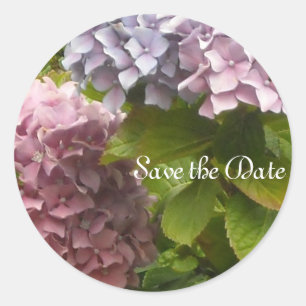 Sticker Rond Hydrangeas Élégantes