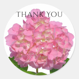 Sticker Rond Hydrangée rose rose fleur rose