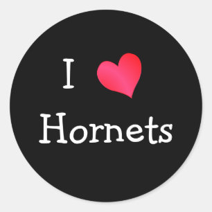 Sticker Rond I Love Hornets