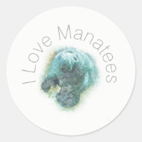 I Love Manatees Art