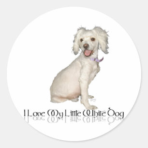Sticker Rond I Love My Little White Chig - Poodle / Bichon Mix