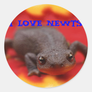 Sticker Rond I Love Newts