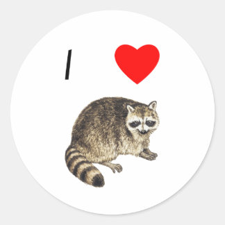 Sticker Rond I Love Raccoons