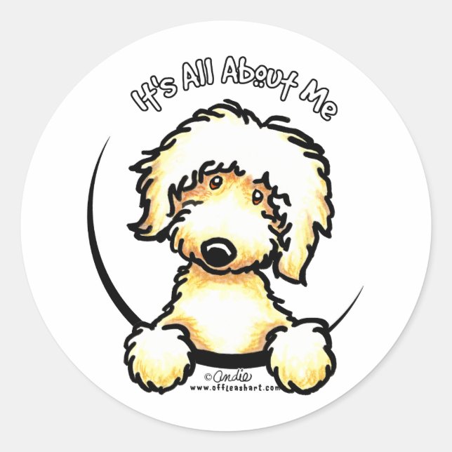 Sticker Rond IAAM Labradoodle jaune (Devant)
