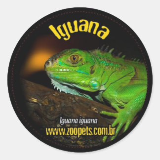 Sticker Rond iguane