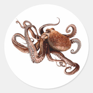 Sticker Rond Iker L'Octopus