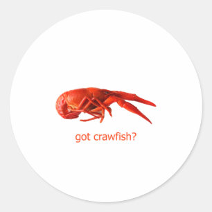 Sticker Rond "Il y a du poisson-chat ?" Logo
