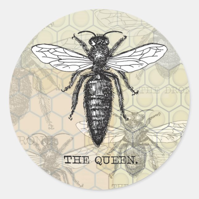 Sticker Rond Illustration d'antiquité de l'insecte de la reine  (Devant)