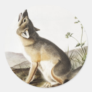 Sticker Rond Illustration de Fox (Vulpes velox)