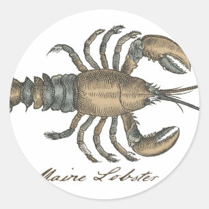 Sticker Rond Illustration de homard vintage : damas côtier