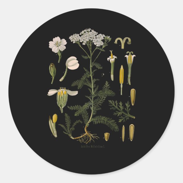 Sticker Rond Illustration de la botanique florale de fleurs de  (Devant)