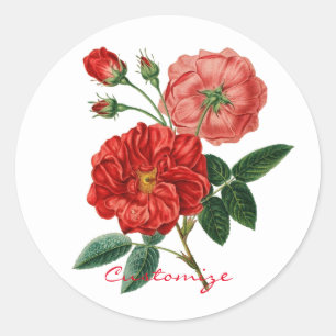 Sticker Rond Illustration de la Rose rouge Vintage Thunder_Cove