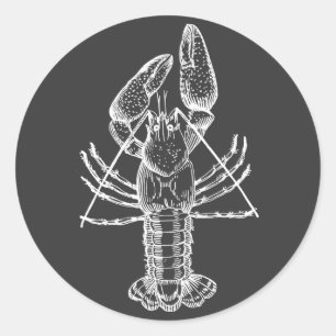 Sticker Rond Illustration de l'écrevisse blanche sur noir