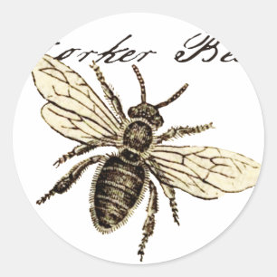 Sticker Rond Illustration de l'insecte d'abeille vintage