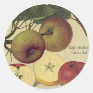 Sticker Rond Illustration des pommes de fruits Vintages botaniq
